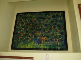 Lacquered Peacock Print - Huge and Very Colorful -  Approx. 56" x 45"
