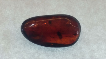 Amber Pebble with Trapped Insect - Approx. 19mm x10mm x5.4mm - Approx. 0.7 Grams