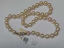 PEARL N.L. CREAM COLOR PEARLS
16" LONG 14KWG CLASP I-1128
