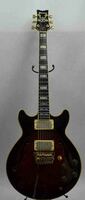 Ibanez Artist AM-255 6-String Electric Guitar with Line 6 Gig Bag